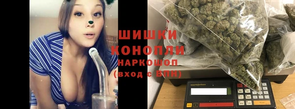 стаф Абаза
