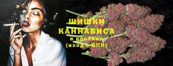 стаф Абаза